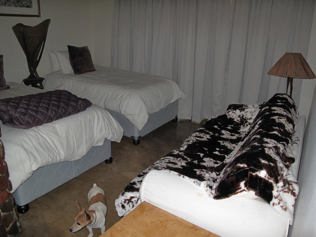Caracal Lodge Alkmaar Extérieur photo