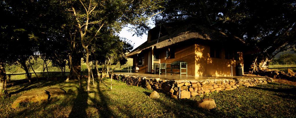 Caracal Lodge Alkmaar Chambre photo