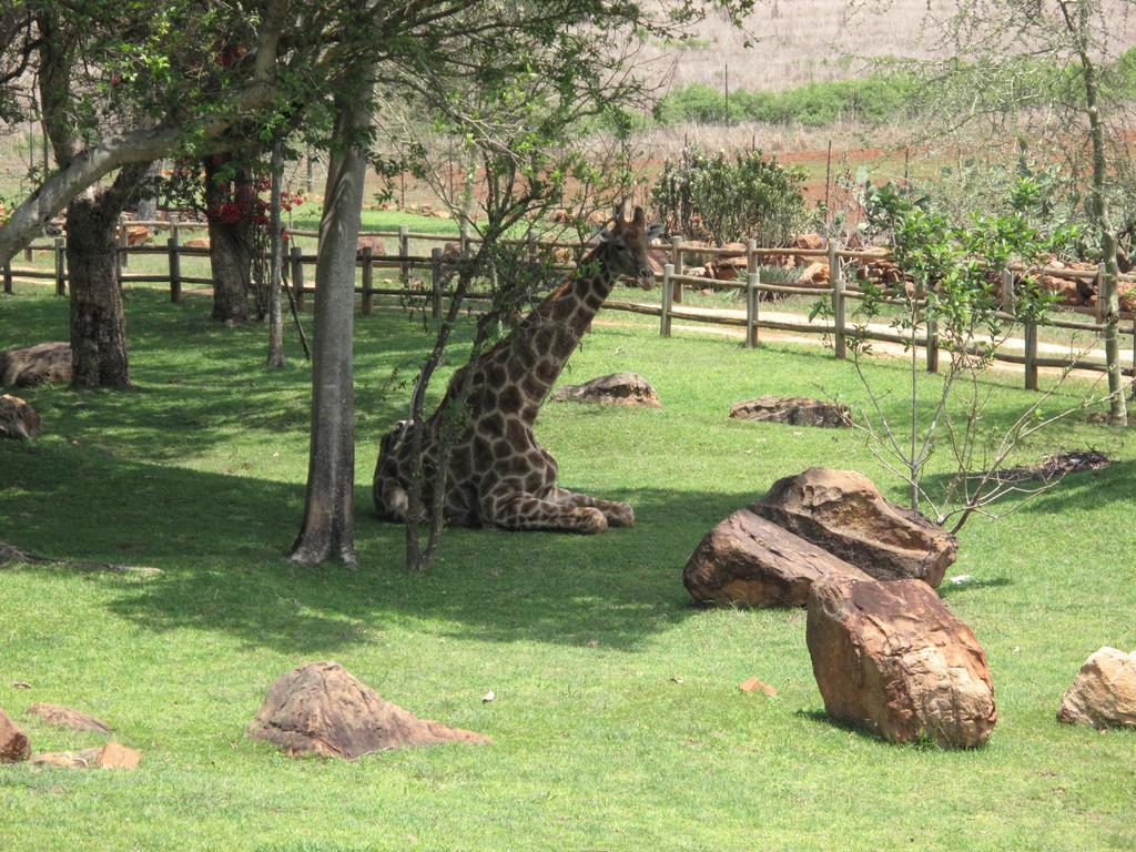 Caracal Lodge Alkmaar Extérieur photo