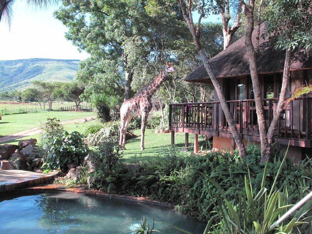 Caracal Lodge Alkmaar Extérieur photo